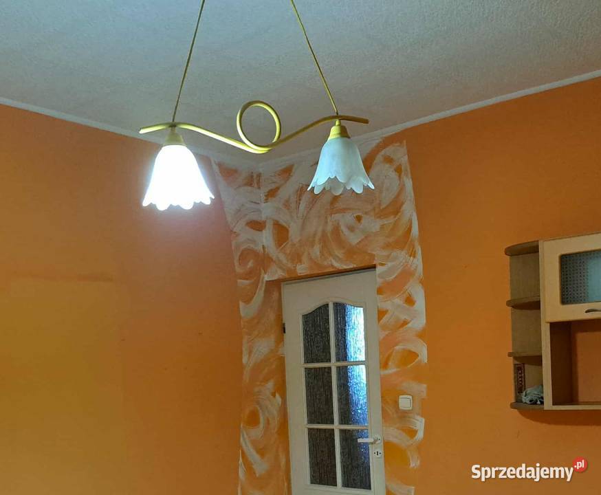 Żyrandol lampa sufitowa na dwa klosze Złotniki Kujawskie