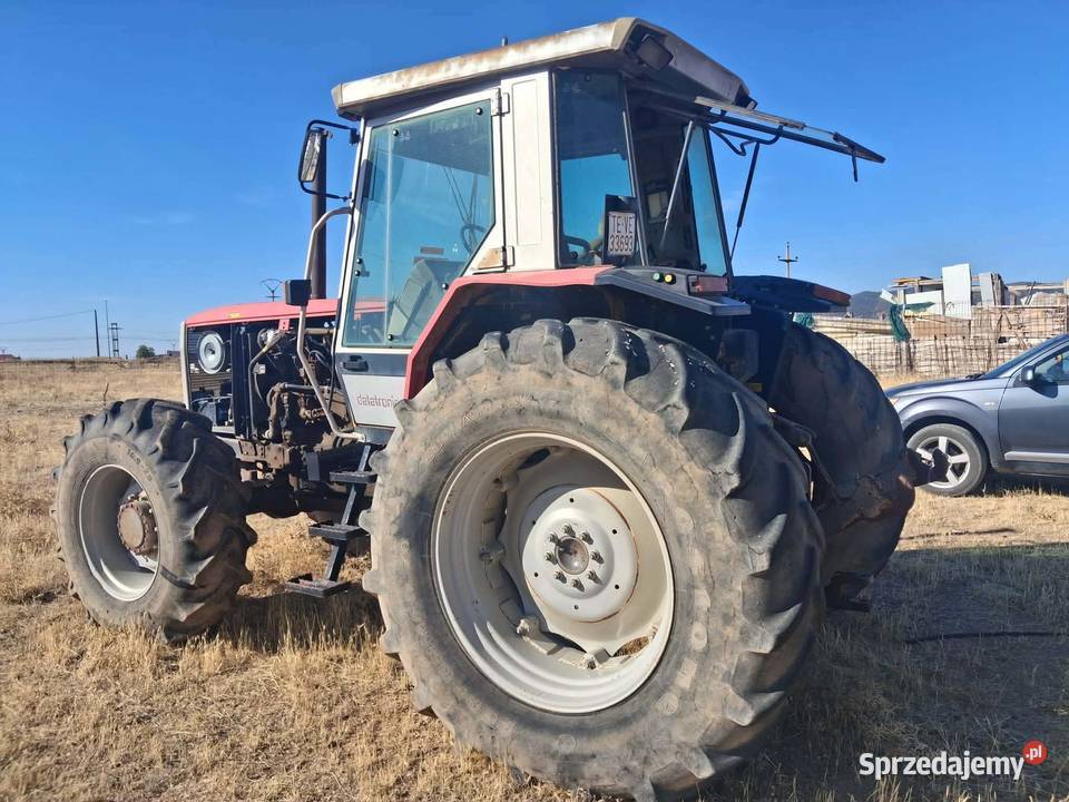 Massey Ferguson 3655 mazowieckie Prosienica sprzedam