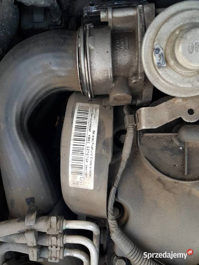 Vw golf 5 skrzynia biegow 19 tdi Motoryzacja śląskie Katowice