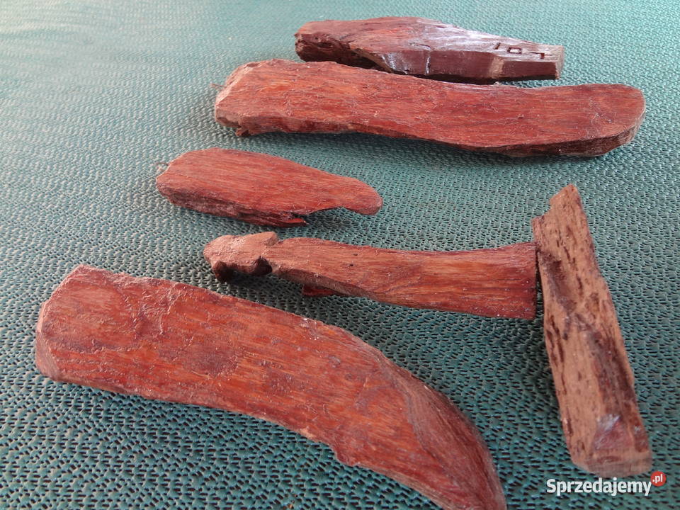 Rzeźby z drewna Wrocław