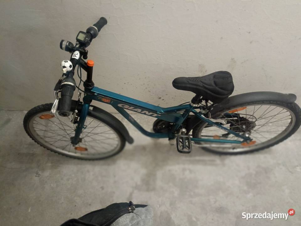 Rower Giant Dziecięce Koło