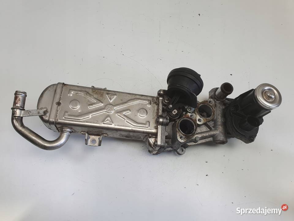 Audi A3 II 8P 16 TDI CHŁODNICA SPALIN egr Chełm