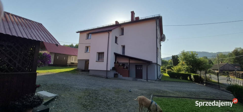 Sprzedam dom z zabudowaniami godpodarczymi kamienica śląskie Krzyżówki