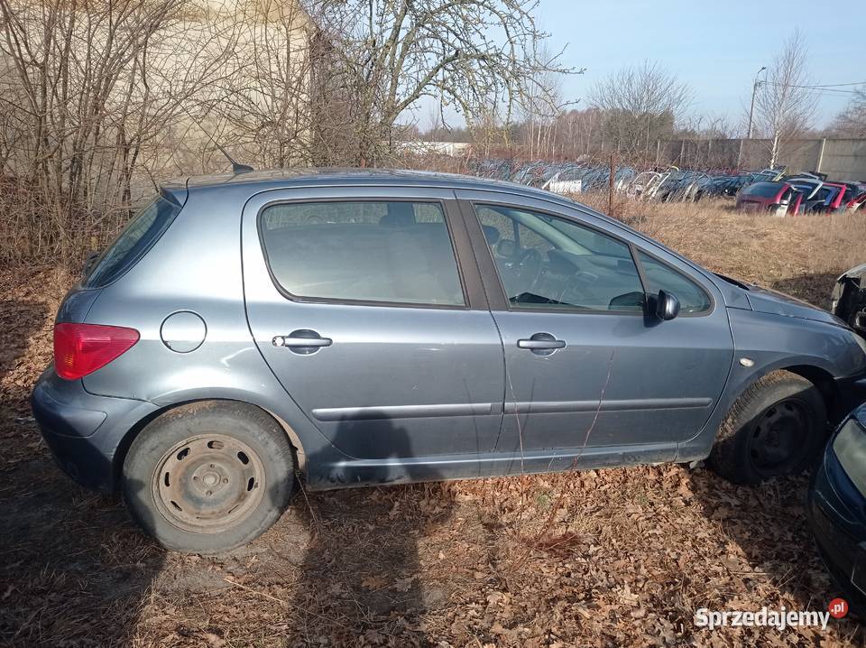 Peugeot 307 16 80 kW 2005 r dawca części Szklarka Myślniewska
