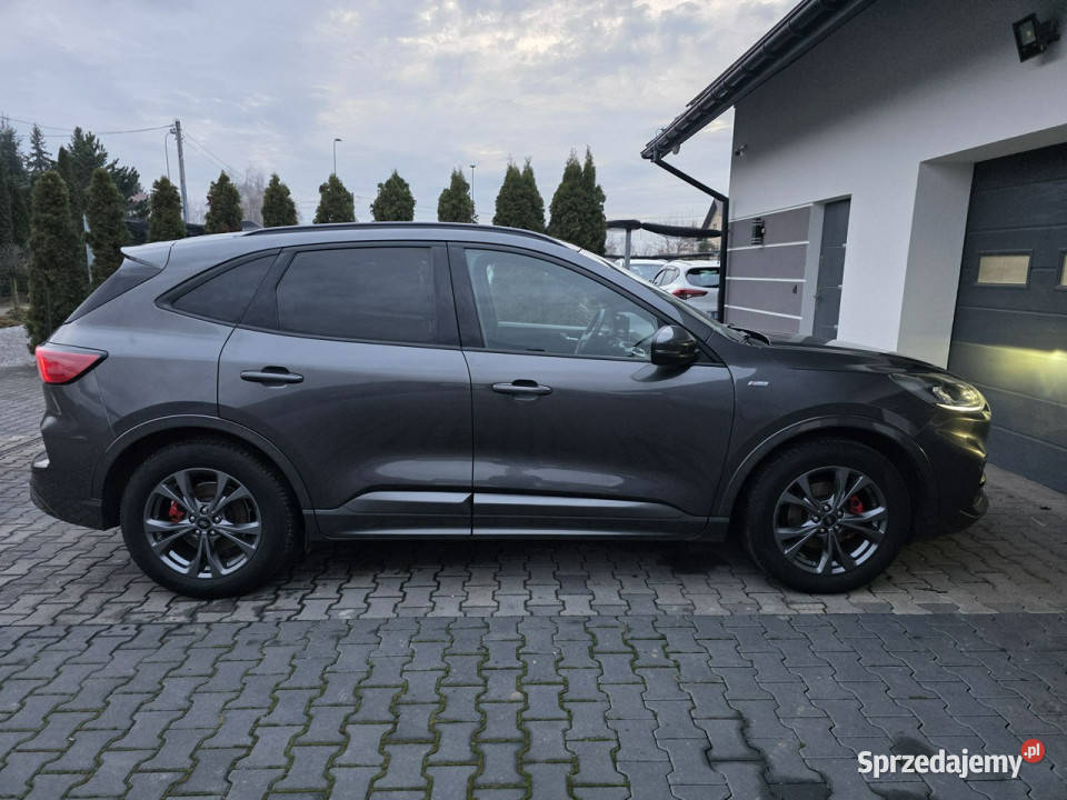 Ford Kuga EUROPAstlinemanualbezwypadkowykamera światła do jazdy dziennej Żabno