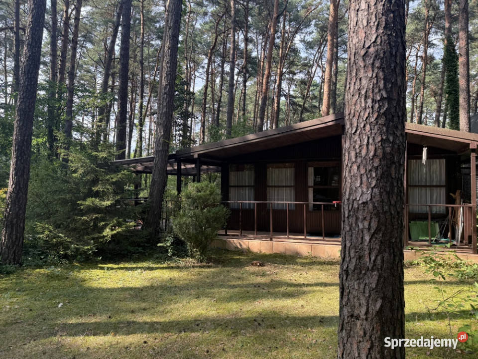 Domek letniskowy 55 m Liswartą w pełni 4700m2 Zawady