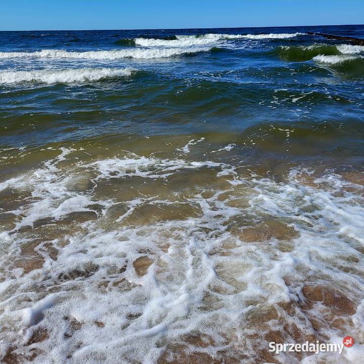 Dom wolnostojący w apartamentu8 morza Sprzedaż Dąbrowa