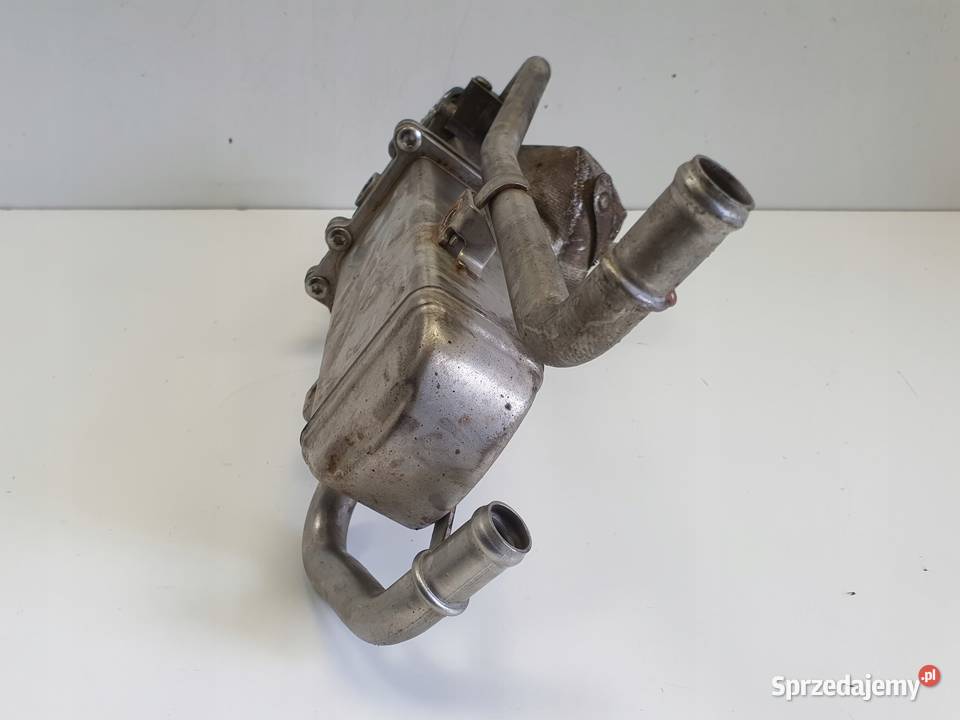 VW Caddy III 16 TDI CHŁODNICA SPALIN zawór egr lubelskie Chełm sprzedam