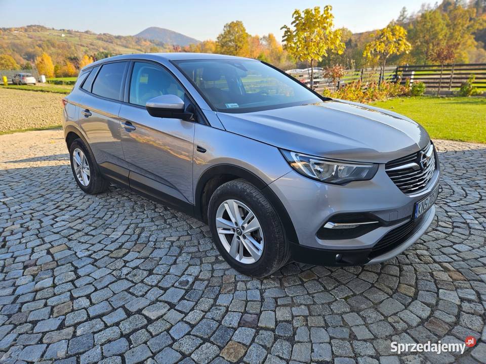 Opel Grandland X Super stan małopolskie Krynica-Zdrój