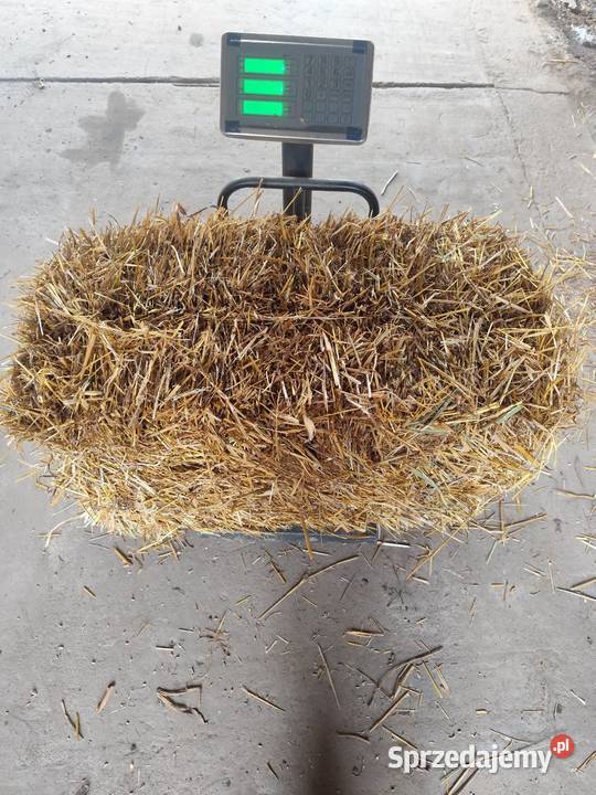 Słoma owsiana Proszowice