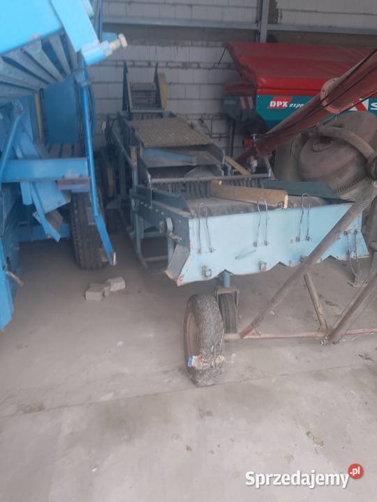 Sortownik do ziemniaków mazowieckie Łosice