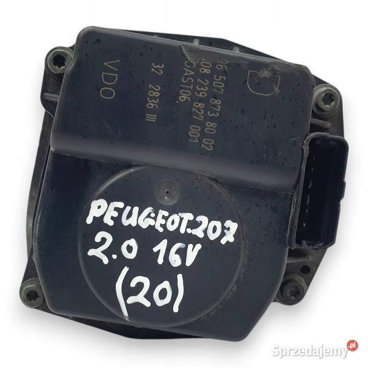 PRZEPUSTNICA Peugeot 307 407 Citroen C4 C5 20 lubelskie Chełm sprzedam