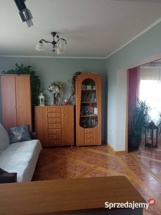 Dom 154 m z budynkiem gospodarczym 134 m działka Czarne