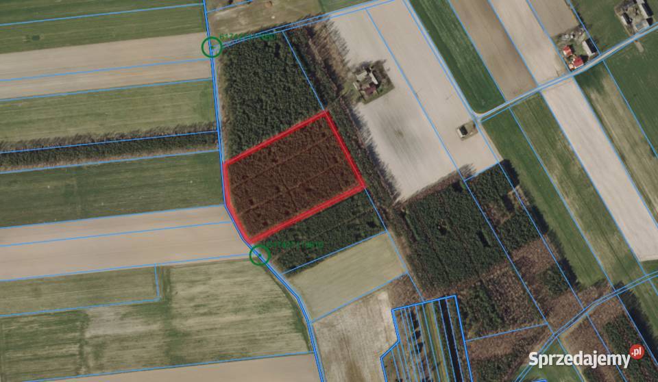 Sprzedam zalesiona ziemie rolna o pow 147 ha w 14700m2 sprzedam