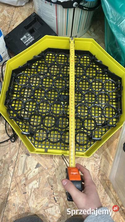 Sprzedam inkubator cleo 5 Bobowa