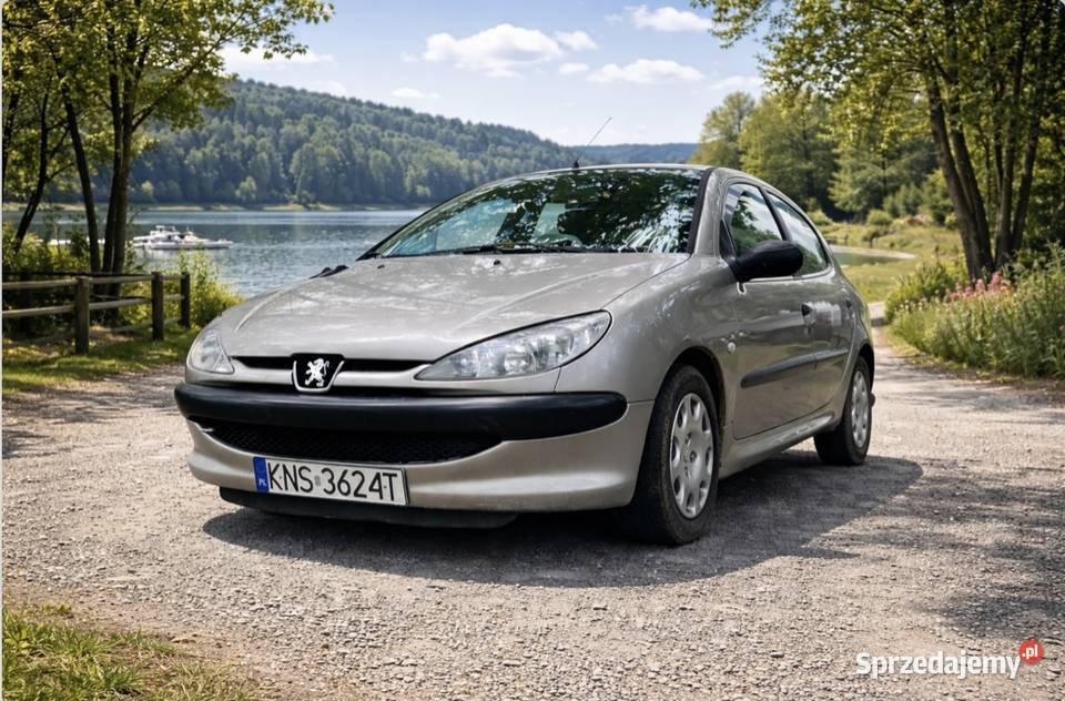 Peugeot 206 11 benzyna 2004 60KM Samochody osobowe Nowy Sącz
