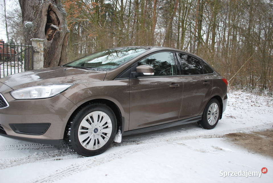 Ford Focus mk III krajowy i bezwypadkowy Focus dolnośląskie Wisznia Mała sprzedam