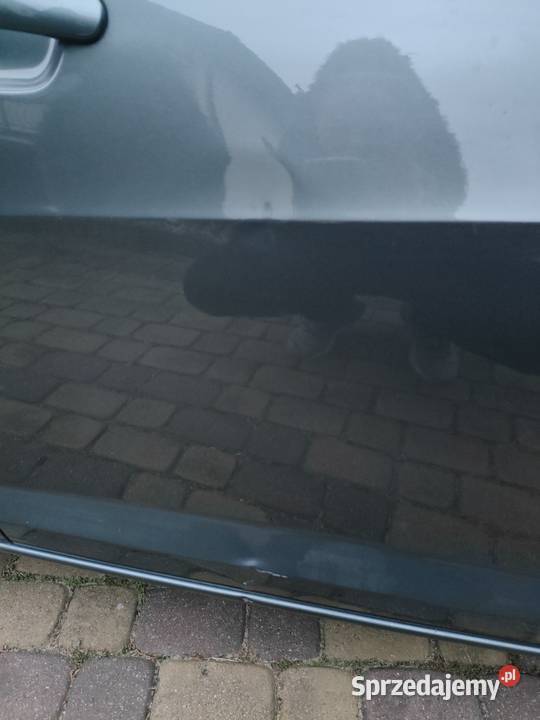 Seat Ibiza 14 Climatronic Navi opony letnie i 166827km Toruń