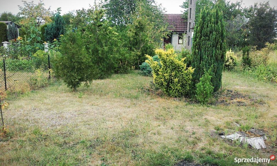 Sprzedam działkę ROD KRAJNA 380 m kw Sępólno Krajeńskie sprzedam