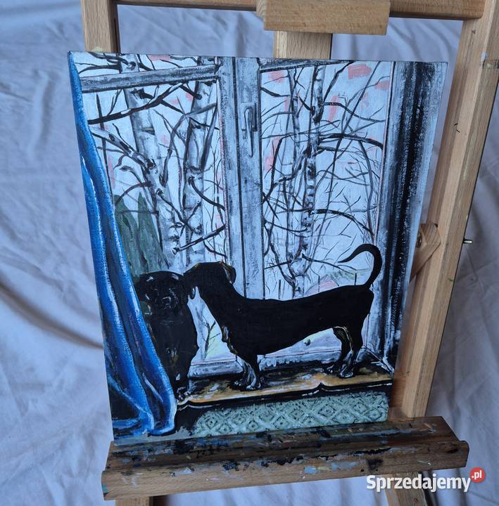 Jamniki jamnik w oknie obraz na płótnie artysty Brzesko