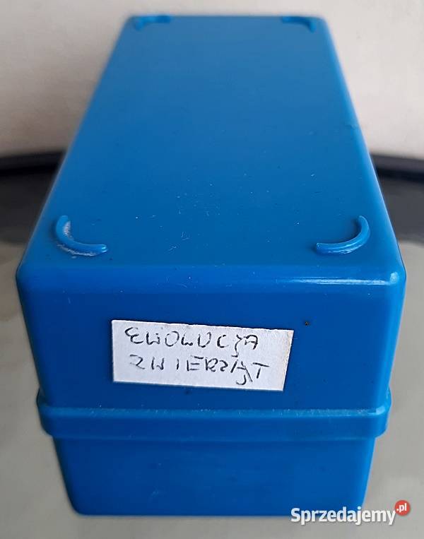 Slajdy Ewolucja świata zwierzęcego Pozostałe Ostrów Wielkopolski sprzedam