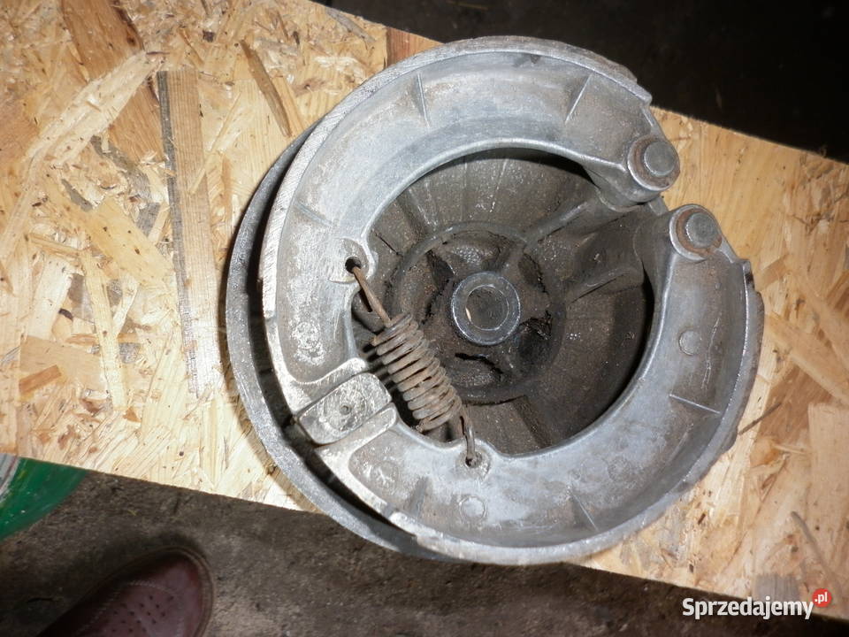 jawka mustag szczenkotrzmacz