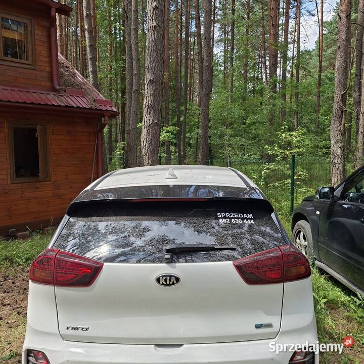Kia Niro Hybrid Plugin Niro Rzeszów