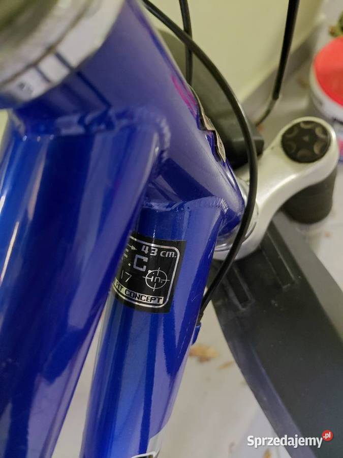 Rower damski Wheeler Szosowe