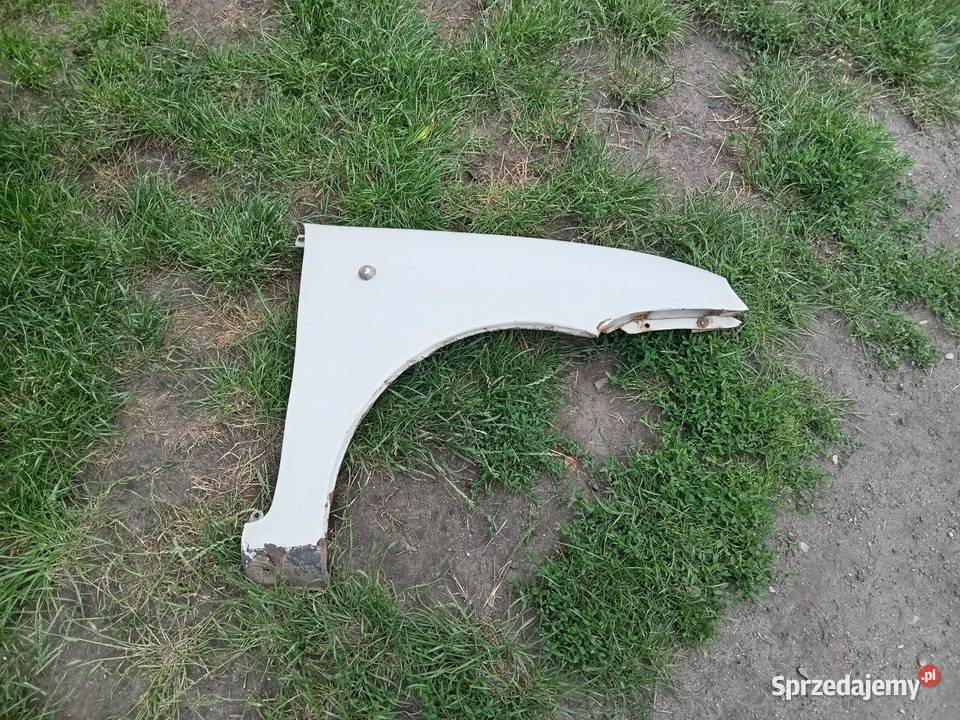 Seicento błotniki Teolin