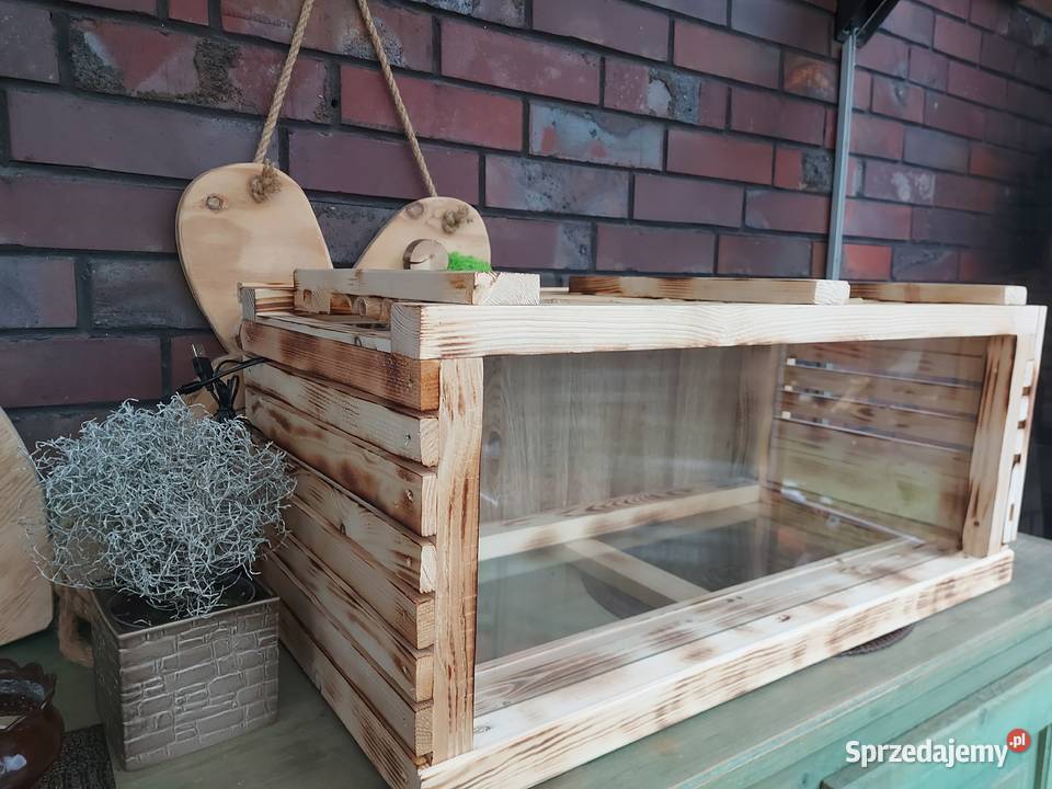 Terrarium żółwia jeża pigmejskiego Akcesoria dla zwierząt Opole sprzedam