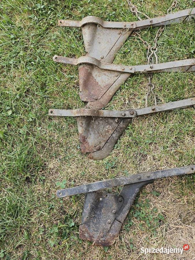 Redlice siewnik Poznaniak Domaniewice