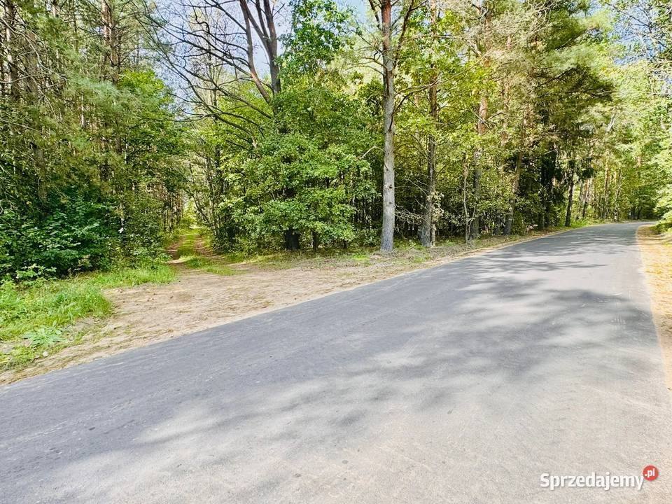 Wyjątkowa działka 242 ha wśród zieleni Cisza Drygały