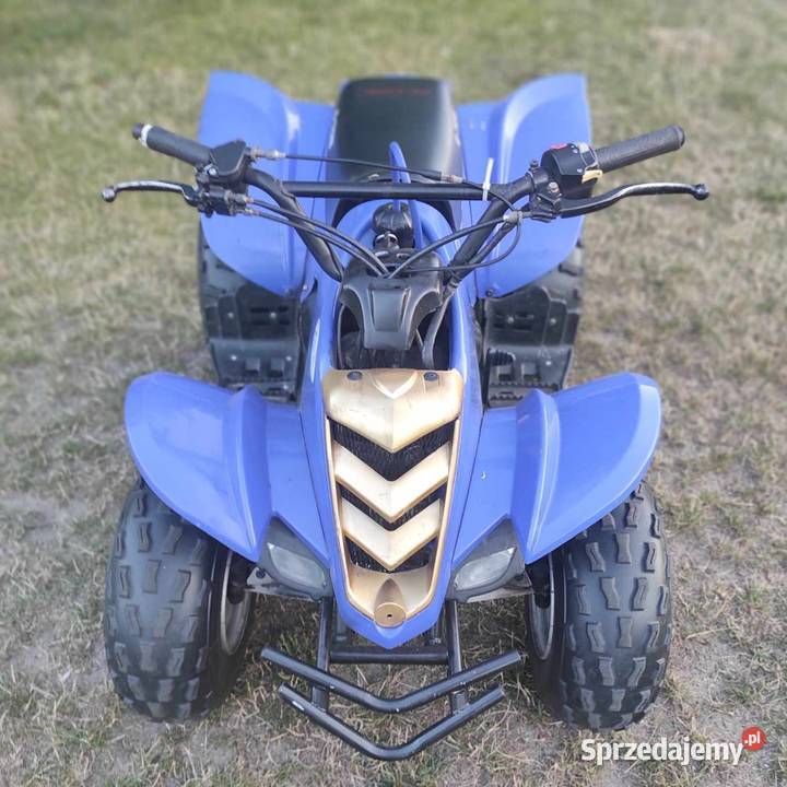 Quad ETon 90 cc benzyna 100km Pozostałe mazowieckie Nowy Duninów