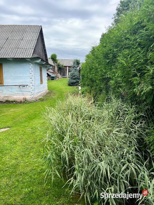 Nowy dom z dużą działką 95 arów Roztocze Suchowola sprzedam