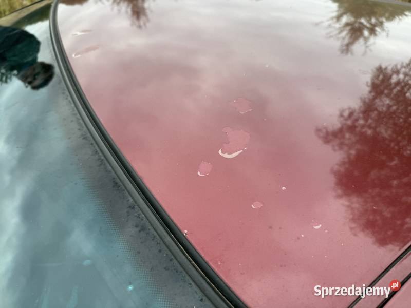 Audi A4 19 TDI prod 1998 syndyka Usługi