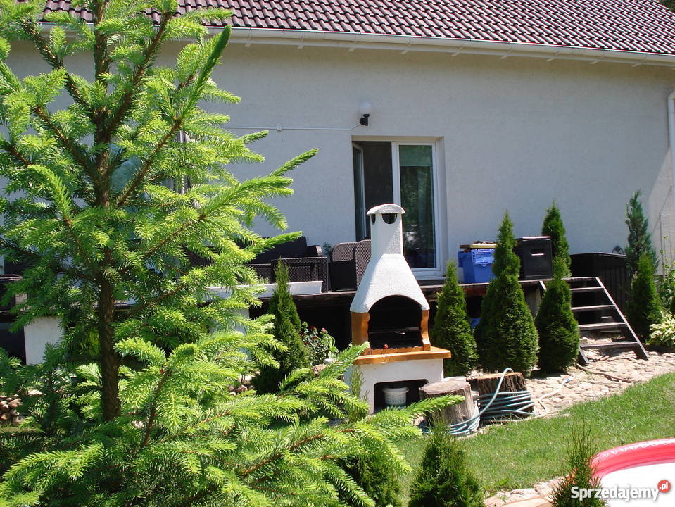 Połowę domu jednorodzinnego o 2 lokalach ogródek Wódka