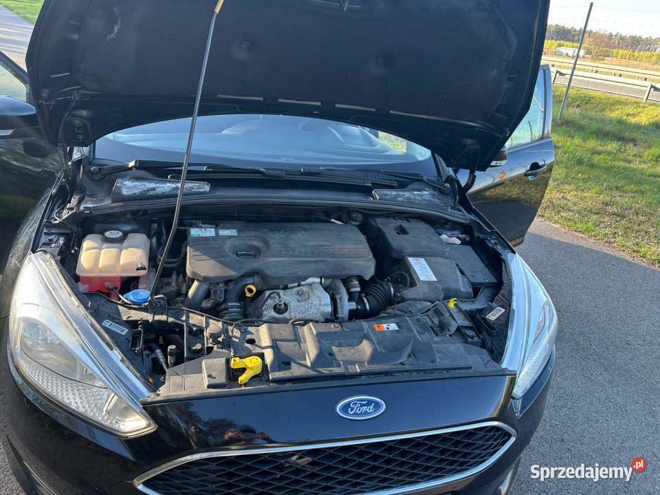 Ford focus lift lubelskie