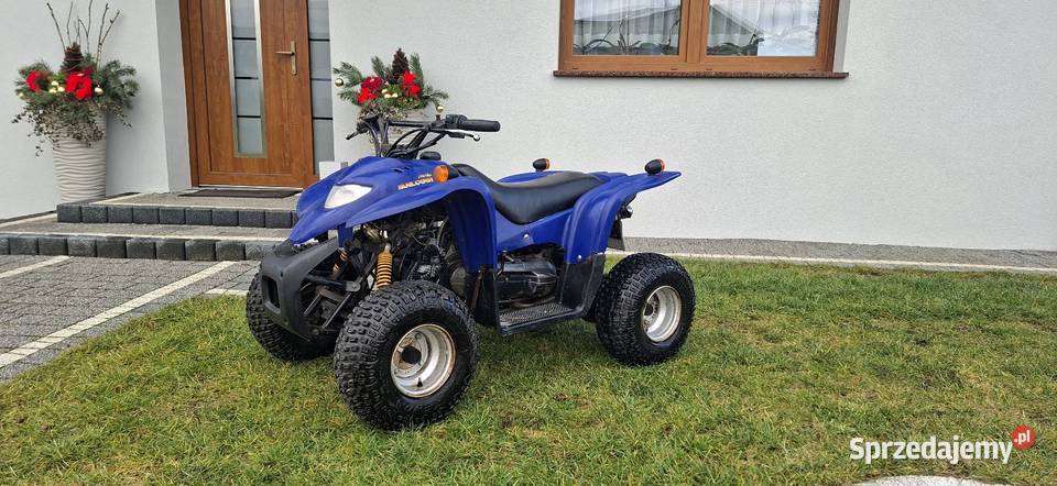 Quad Adly 50 nie kayo Loncin Bashan Kamień Śląski