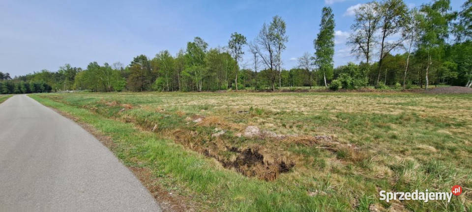 sprzedaży gruntu 17500m2 RudyRysie Rudy-Rysie