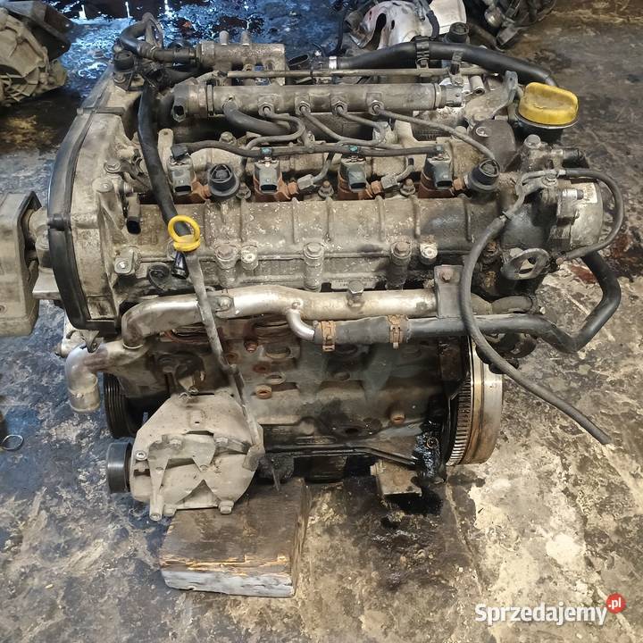 Opel silnik Z19DTH 19 cdti 150 Bychawa