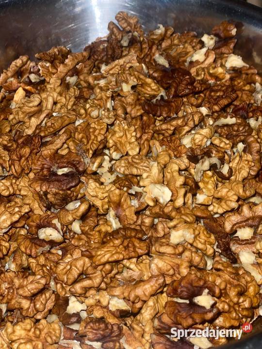 orzechy włoskie łuskane zbiór 2025 Sulów