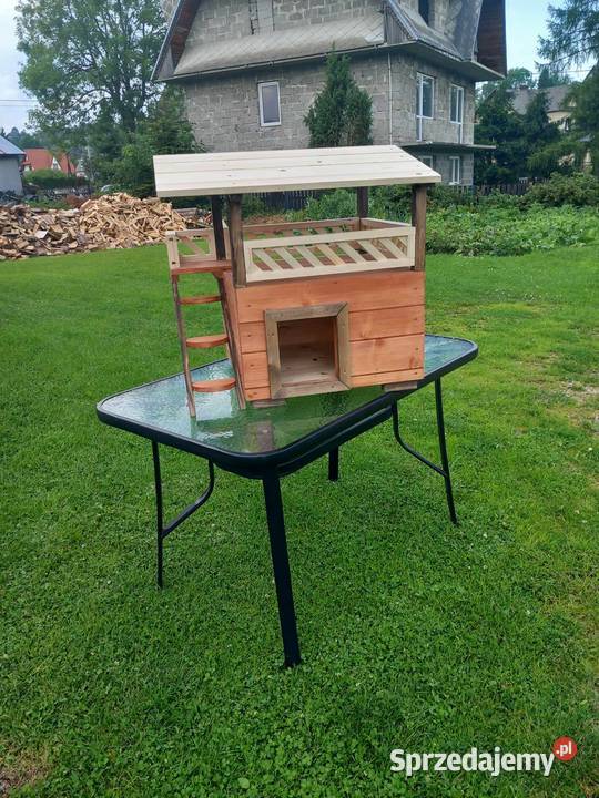 fajn y kojec kota małego pieska małopolskie Kościelisko