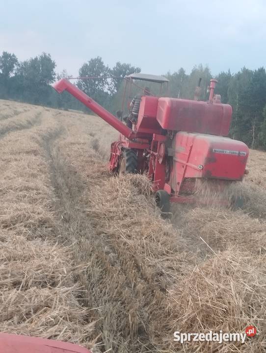 mf86 Kosów Lacki