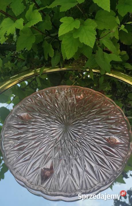 ERYKA TRZEWIK DROST HSG ZĄBKOWICE
ROZALINOWA Pabianice sprzedam