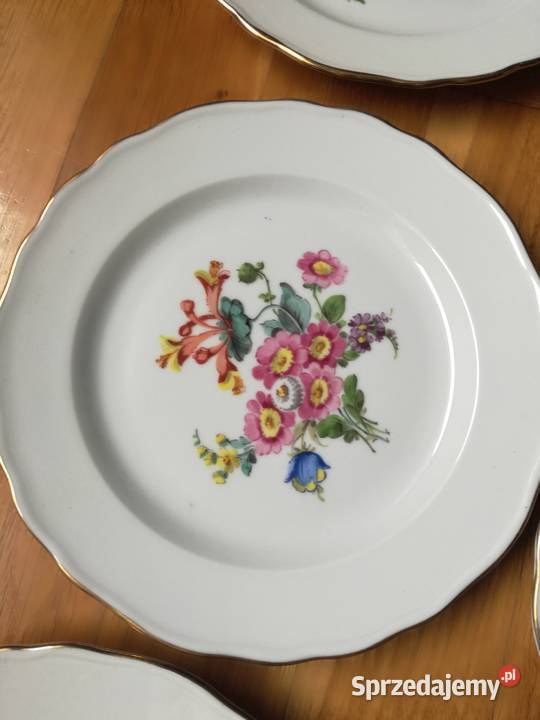 Porcelana Potschappel Dresden komplet 6 talerzy Ceramika i szkło Jastrzębie-Zdrój