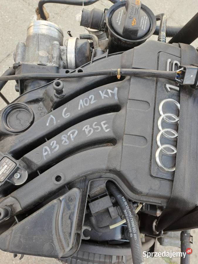 Audi Seat Skoda Volkswagen 16 8V 102 silnik kod Jastrzębie-Zdrój
