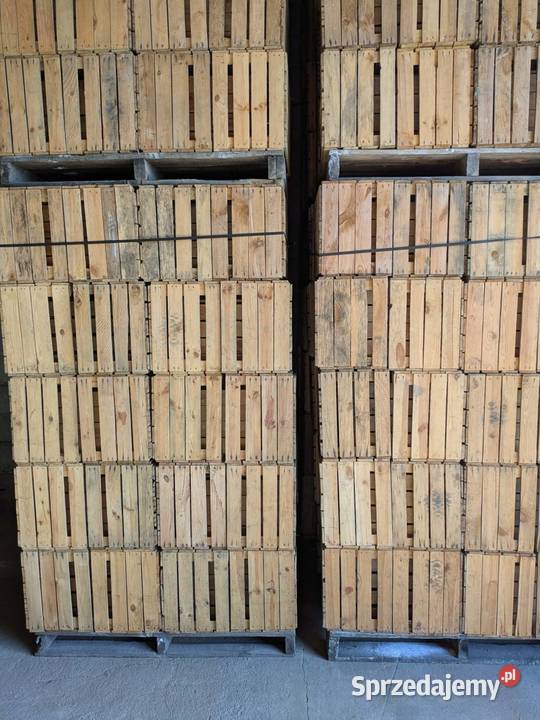 Sprzedam skrzynki jedynki mazowieckie Błędów