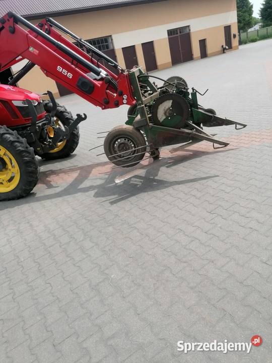 Ścinaczka do fasoli nieuszkodzony lubelskie Tyszowce