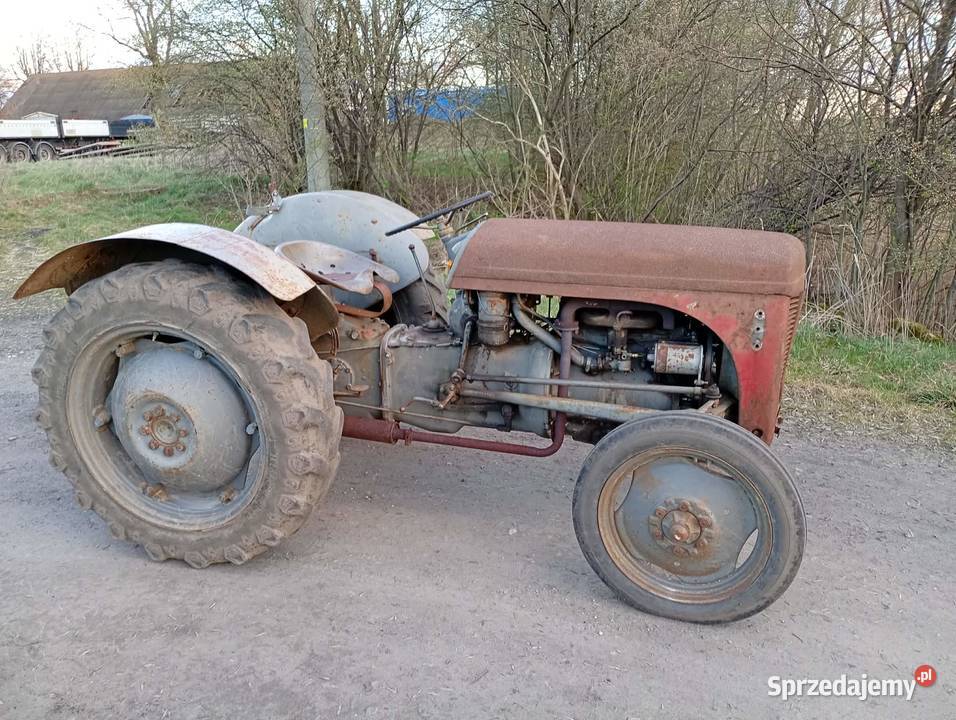 Sprzedam Fergusona TEA 20