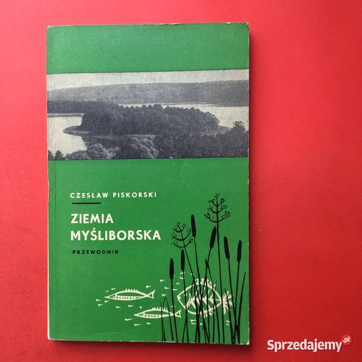 2173 Ziemia Myśliborska Antyki, Sztuka, Kolekcje Szczecin